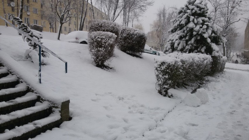 Zima w Jastrzębiu: miasto zasypane śniegiem