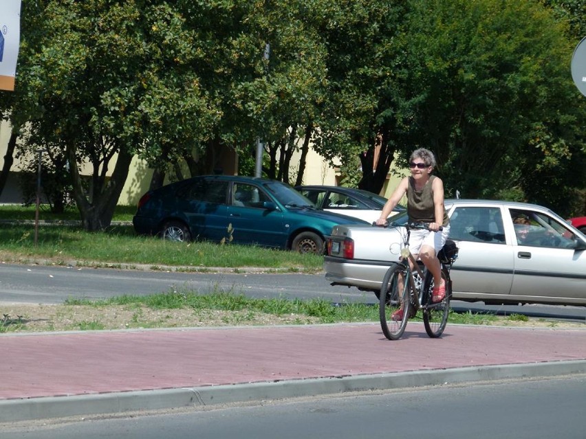 Aktywna Dolina Rzeki Warty. Projekt na ukończeniu