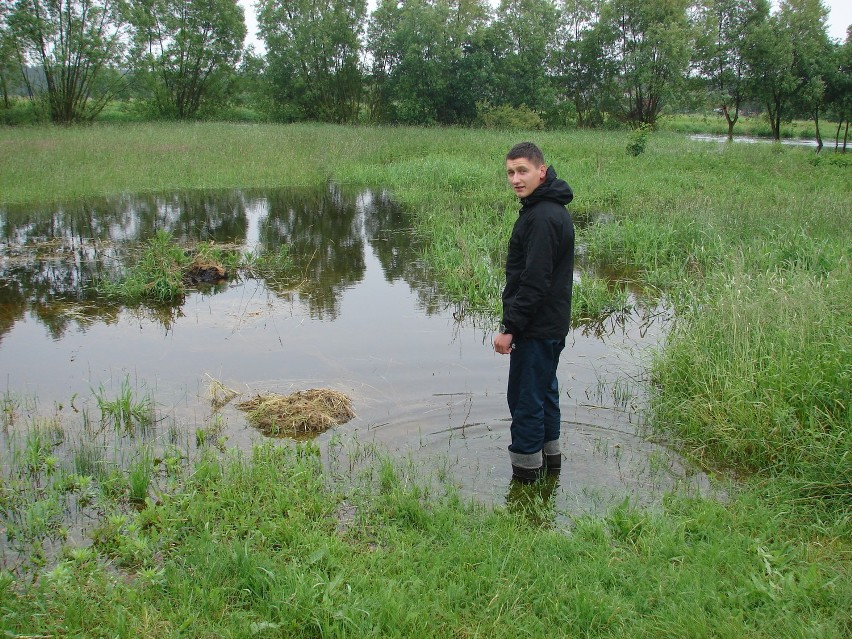 Alarm powodziowy na Liswarcie