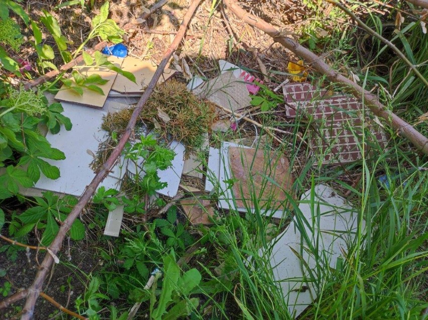 Proceder dzikich wysypisk śmieci kwitnie i stanowi poważny problem w Chełmie 