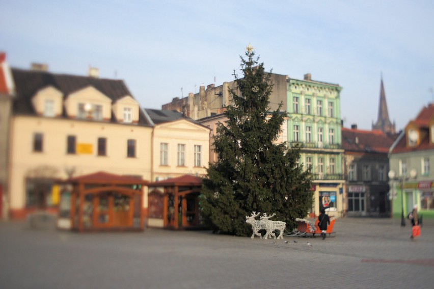 Choinka już stanęła na inowrocławskim Rynku