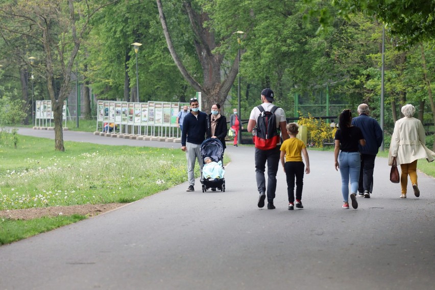 Do Parku Wrocławskiego na rowerze lub rolkach? Kto może, a kto nie?