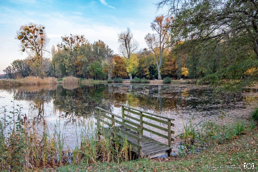 Pleszew. Kompleks Leśny "Planty" jesienią zachwyca. Idealne...