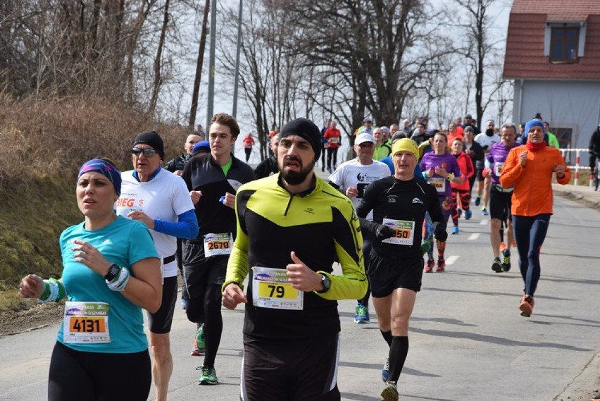 Półmaraton Ślężański za nami! Do mety dobiegło ponad 4 tysiące osób (ZDJĘCIA)