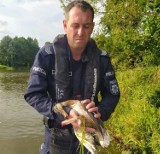 Niecodzienna interwencja kaliskich policjantów. ZDJĘCIA, WIDEO