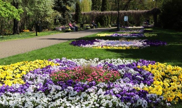 Ogród Botaniczny w Grudziądzu przyciąga wielu spacerowiczów