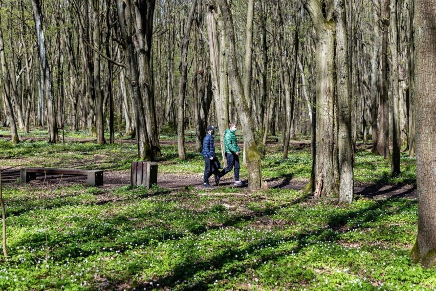 Szacuje się, że sama społeczność związana z bushcraftem i...