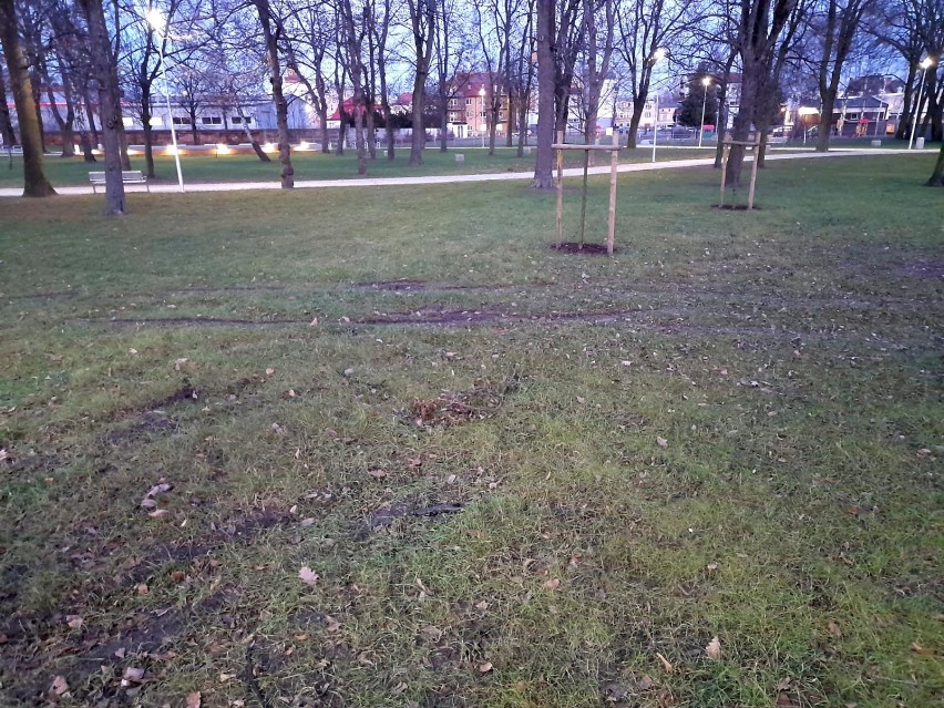 Leszno. Kto rozjeżdża park Heermana? Trawniki w odnowionym parku niszczone są przez auta [ZDJĘCIA]