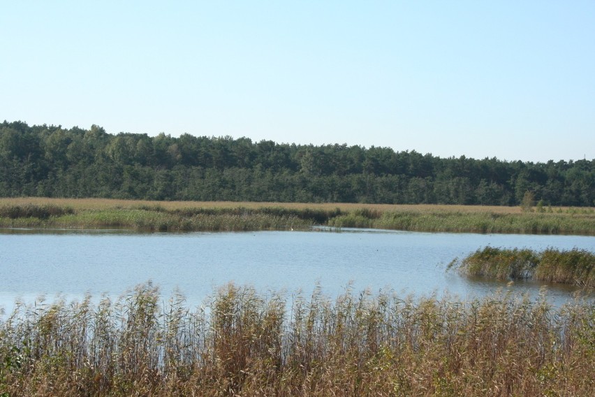 Widok na jezioro Karaś fot. Ewa Kowalska