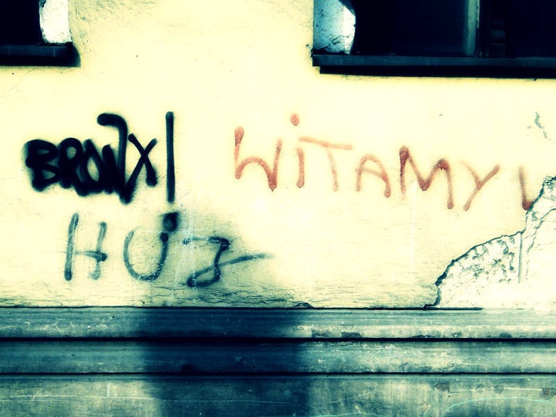 Poznań: Szukasz egzotyki? Przytul się do drzewa! - zobacz kultowe napisy na jeżyckich murach [FOTO]