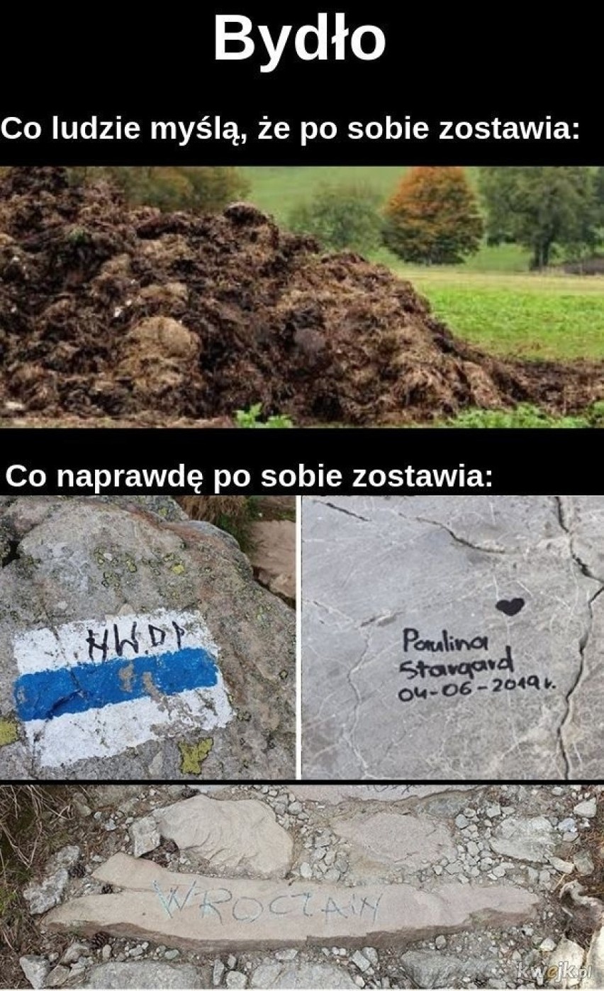 Tatrzańskie MEMY! Zobacz najśmieszniejsze obrazki o Tatrach [31.07.2020]