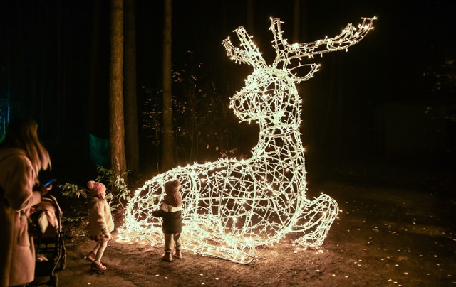 Kilometrowa ścieżka zwiedzania, magiczny spacer w milionie świateł, moc atrakcji dla dzieci i dorosłych - oto Lumina Park "Kraina Marzeń" na terenie Leśnego Parku Kultury i Wypoczynku w Myślęcinku w Bydgoszczy. Atrakcja będzie otwarta tylko do 26 lutego!