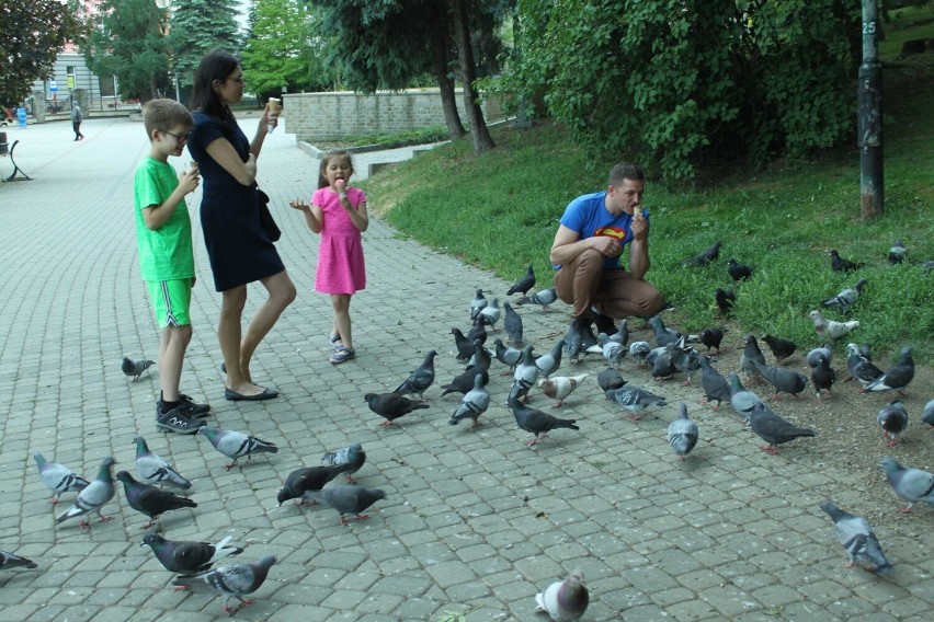 Park górski w Sanoku.