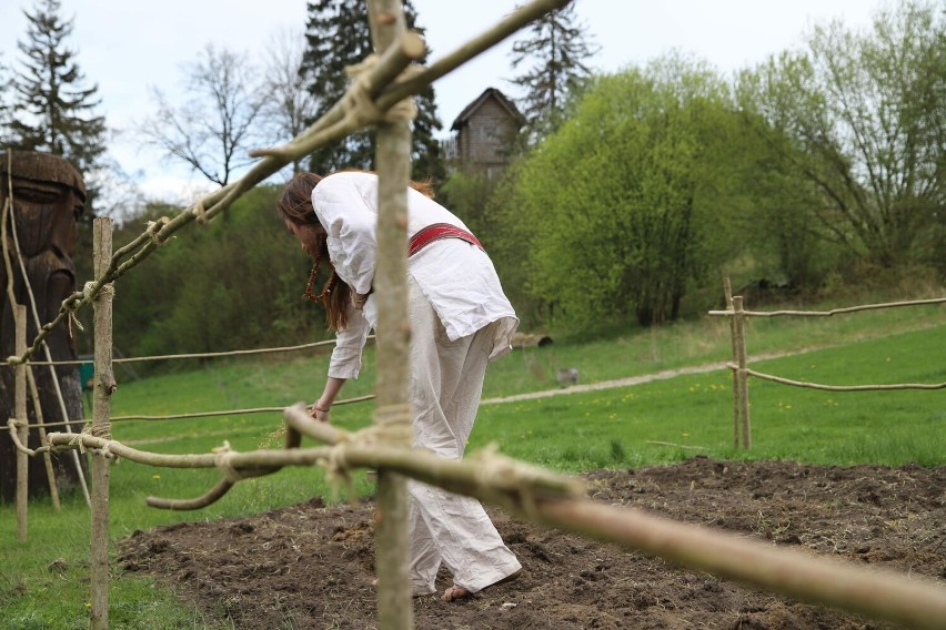„Na len! Na konopie! Słowiańskie święta roślinne” ten niezwykły projekt otrzymał dofinasowanie z Narodowego Centrum Kultury 