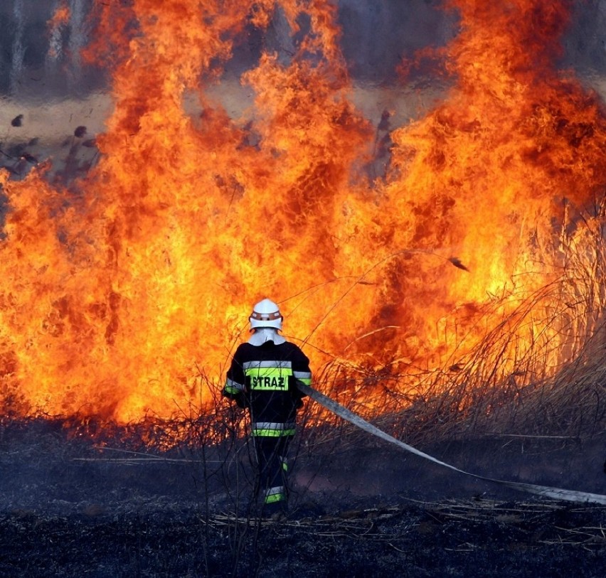 Strażacy z jednostek OSP w powiecie oświęcimskim w ub. roku...