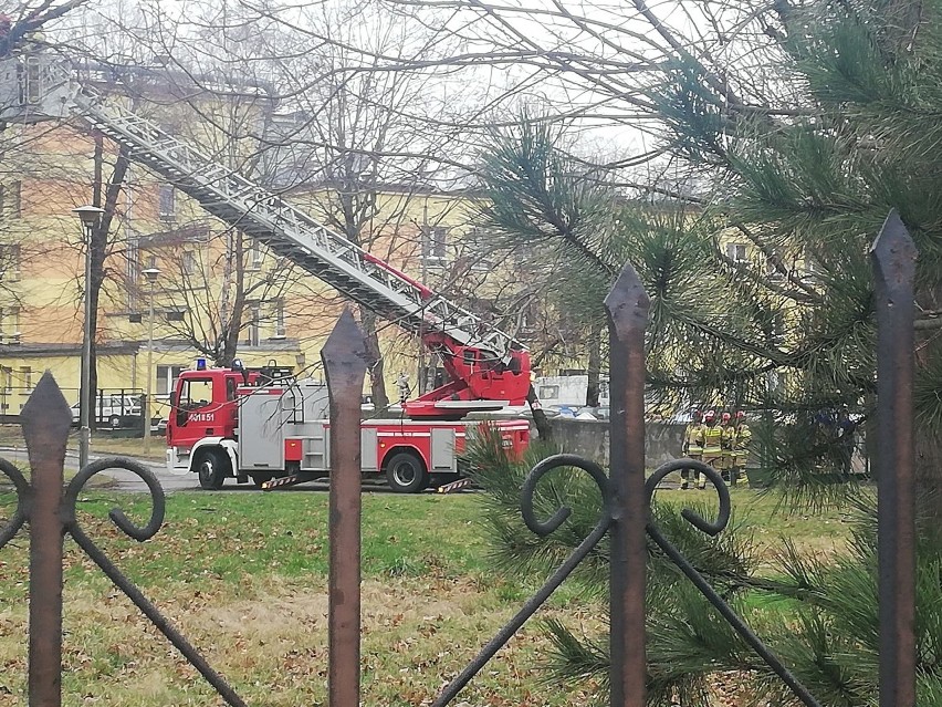 Strażacy usuwają skutki silnych wiatrów na Opolszczyźnie.