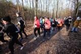 Bieg City Trail Katowice. Kilkuset zawodników rywalizowało przy słonecznej pogodzie. Zobacz ZDJĘCIA