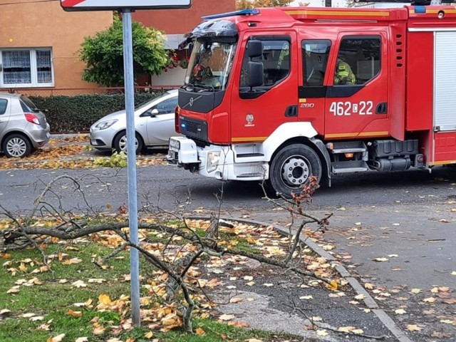 Około godz. 13 powalone drzewo tarasowało przejazd ulicą Cegielną w Inowrocławiu