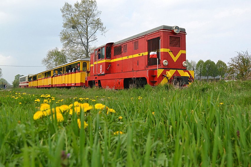 Nowy Dwór Gdański. Kolej wąskotorowa rusza na majówkę 2015