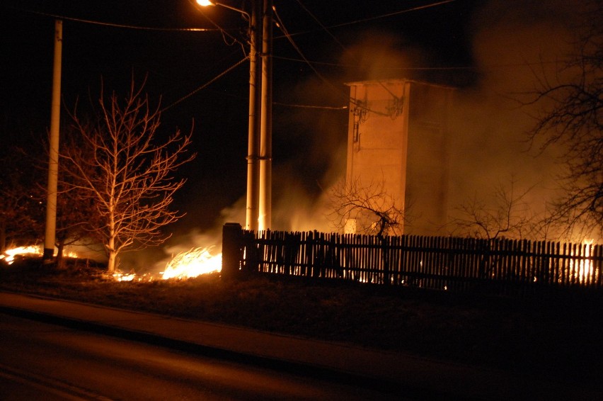 Pożar łaki w Łaziskach Dolnych na ul. Mikołowskiej. Straż gasiła palącą się trawę [ZDJĘCIA]