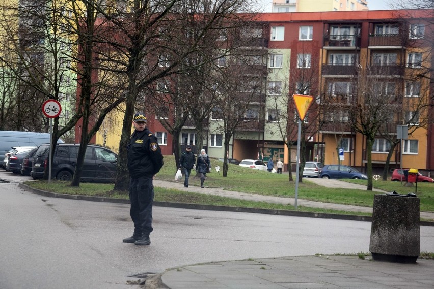 Ranny jeleń zabrany z osiedla Zachód w Stargardzie [ZDJĘCIA, WIDEO]