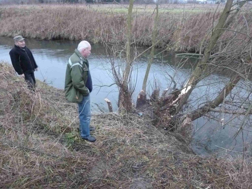 - Postaramy się pomóc - powiedział Namyślak. - Trzeba będzie...