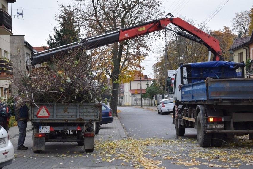 Pierwsze drzewa wycięto przy ul. św. Stanisława i na Skwerze...