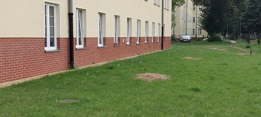 Interwencja Czytelniczki. Sianokosy na ulicy Polnej w Szczecinku do uprzątnięcia 
