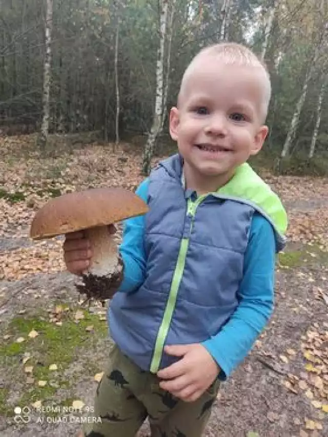 Mieszkańcy powiatu międzychodzkiego potwierdzają, że o wysypie grzybów w tym roku mówić nie można, ale o okazach już zdecydowanie tak.