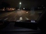 Policyjny patrol w Lęborku natknął się na...wilka. Zwierzę przebiegło ulicą przed maską radiowozu [VIDEO]