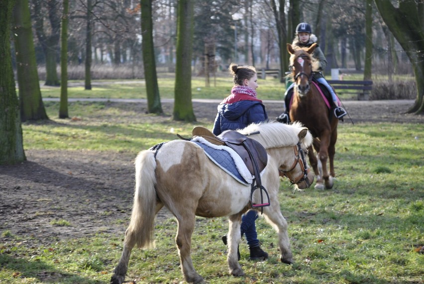 WOŚP 2020: Mieszkańcy Krotoszyna chętnie wspierają akcję. Puszki się zapełniają [ZDJĘCIA]