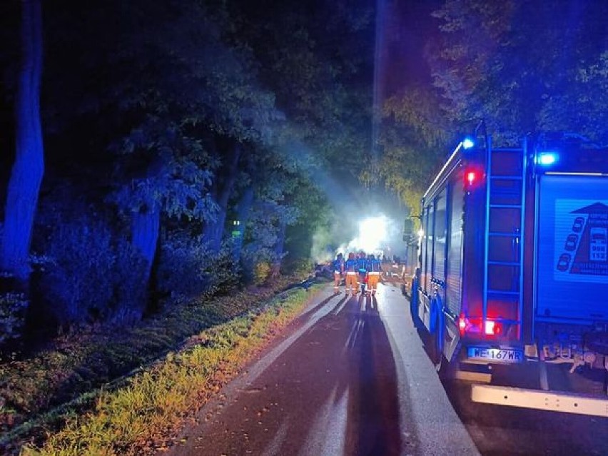 Tragiczny wypadek na Mazowszu. Auto wjechało w drzewo i spłonęło. Nie żyje czterech nastolatków