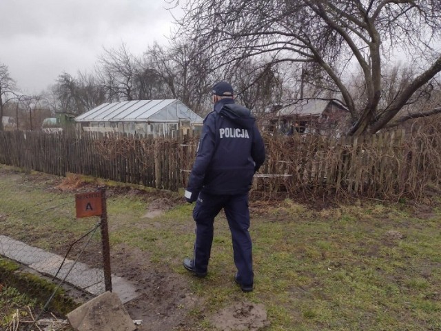 Dewastowali ogródki działkowe w Pleszewie! Kobieta i mężczyzna niszczyli ogrodzenia. Policja złapała ich na gorącym uczynku