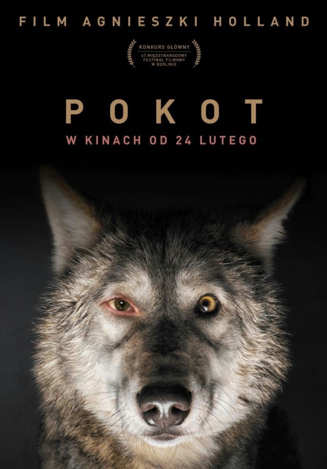 „Pokot” 
Reż. Agnieszka Holland
{Agrafka, ARS, Cinema City, Kijów, Mikro, Multikino, Kino Pod Baranami} 

Berlinale 2017: Srebrny Niedźwiedź - Nagroda im. Alfreda Bauera dla Agnieszka Holland właśnie za „Pokot”. Główną bohaterką nagrodzonego filmu jest mieszkająca w Sudetach, emerytowana inżynierka, Janina Duszejko. Astrolożka z zamiłowania i wegetarianka, pewnej śnieżnej, zimowej nocy odnajduje ciało swojego sąsiada - kłusownika. Jedyne ślady, które znajdowały się wokół jego domu, to ślady saren. W niewyjaśnionych okolicznościach giną kolejne lokalne osobistości. Wszystkich łączyła ta sama pasja - polowanie. Duszejko, widząc niemoc policji, rozpoczyna własne, niekonwencjonalne śledztwo. 

Najnowszy film Agnieszki Holland („W ciemności”) powstał na podstawie nominowanej do Literackiej Nagrody NIKE powieści „Prowadź swój pług przez kości umarłych” (Wyd. Literackie 2009) autorstwa Olgi Tokarczuk. Dwukrotna laureatka tej nagrody („Bieguni”, „Księgi Jakubowe”) jest również współautorką scenariusza do filmu.