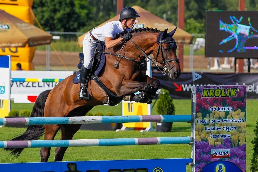 Poznań -  Międzynarodowe Zawody Jeździeckie w Skokach przez Przeszkody CSI** DERBY Poznań [ZDJĘCIA]