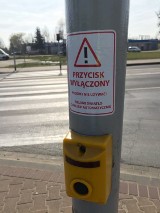 Koronawirus w Ostrowie Wielkopolskim. Zielone światło na przejściu dla pieszych włączy się samo!