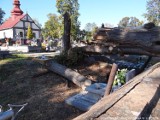Powalone drzewa w powiecie tomaszowski. W Ujeździe uszkodziły ogrodzenie cmentarza i namiot