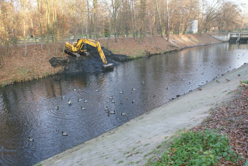 Trwa oczyszczanie kanału rypinkowskiego w Kaliszu z...