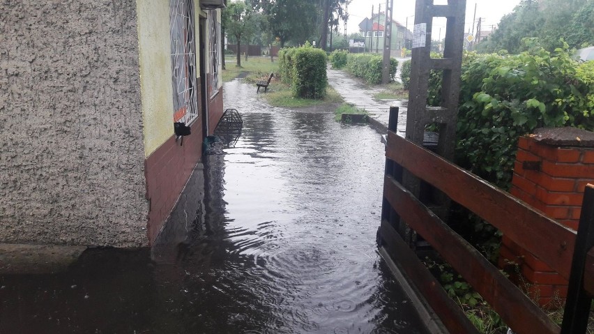 Sprawdziły się prognozy synoptyków. W niedzielę, 10 czerwca,...