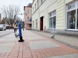 Przewód elektryczny wciąż wystaje na ulicy Bema w Słupsku
