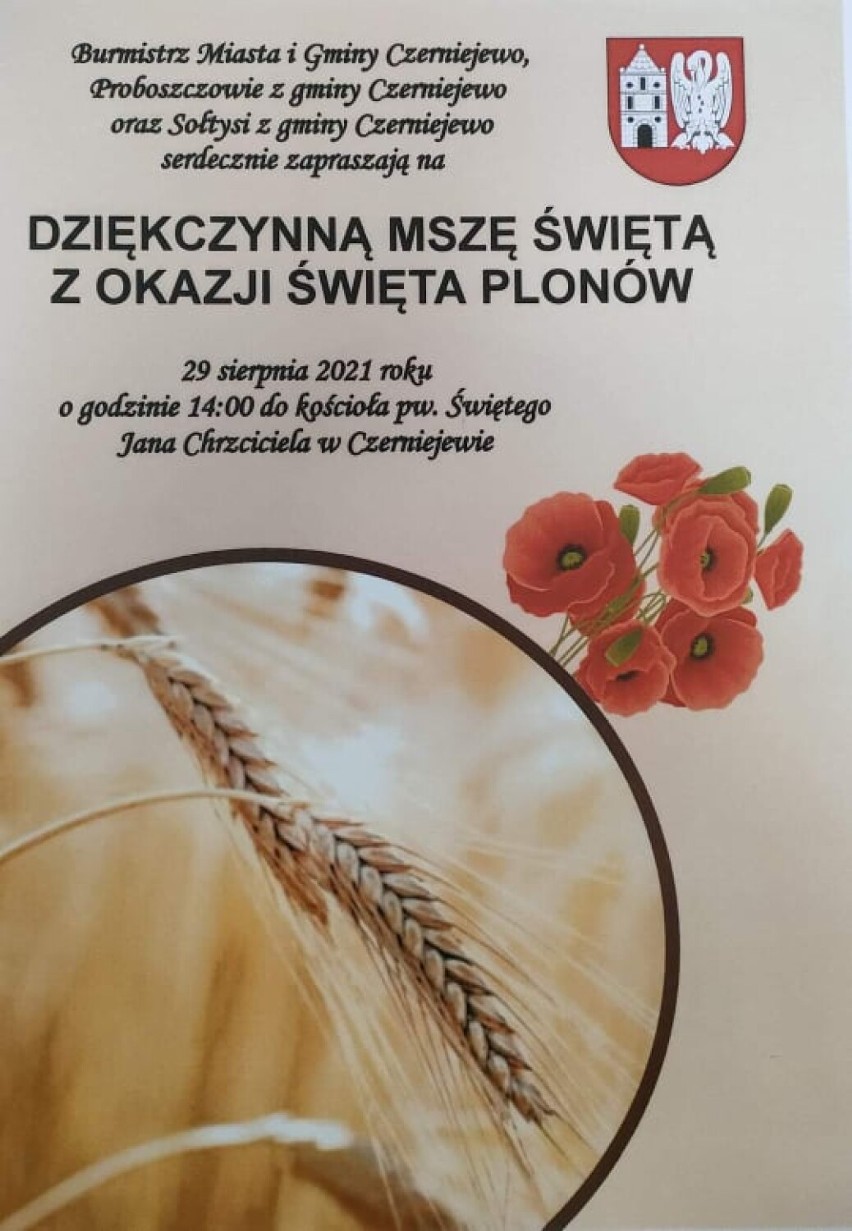 Gmina Czerniejewo. Mieszkańcy sołectw wykonali wspaniałe ozdoby dożynkowe. Która najładniejsza? [FOTO]