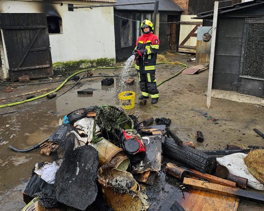 Pożar budynku gospodarczego w Gaju Małym. Interweniowali strażacy