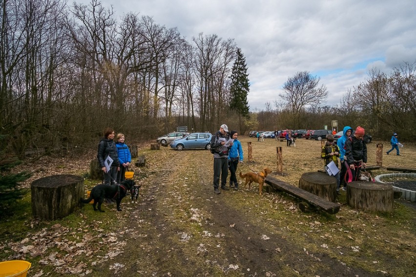 Piękna spacerowa trasa pod Młynkowem kusi na ciepłą majówkę [ZDJĘCIA]