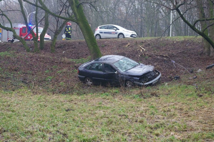 Zamość: Renault wpadł do Parku Linowego