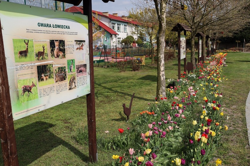 Kobylińska szkoła wręcz „utonęła" w kwiatach [ZDJĘCIA + FILM]