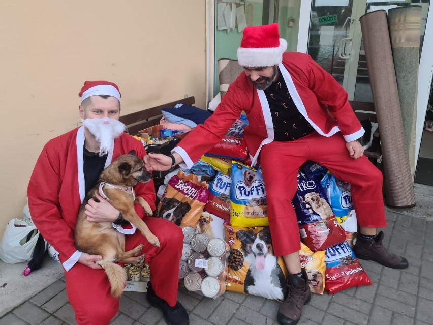 Uczestnicy 24-godzinnego biegu po Zielonym Lesie zebrali ponad 300 kg karmy dla zwierząt ze schroniska