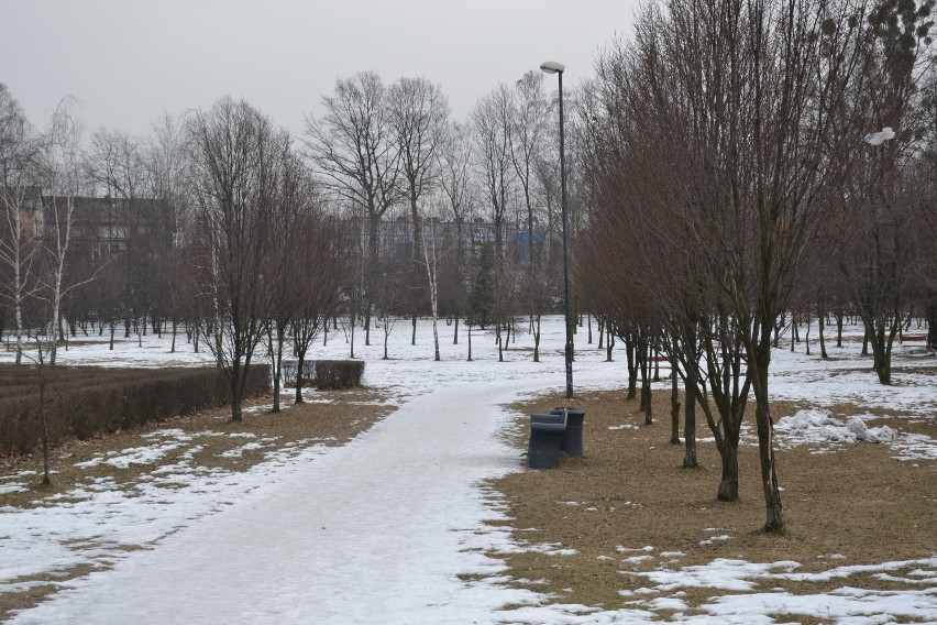 Tak wygląda Park Cegielnia - to się zmieni, bo wytną 125 drzew pod tężnię! ZDJĘCIA