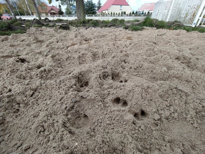 Plac piknikowy padł ofiarą "wandalizmu". NA zdjęciach...