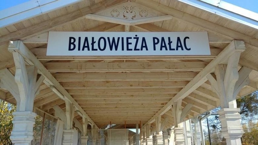 Stacja Pałac w Białowieży 

Znajduje się w nieczynnej...