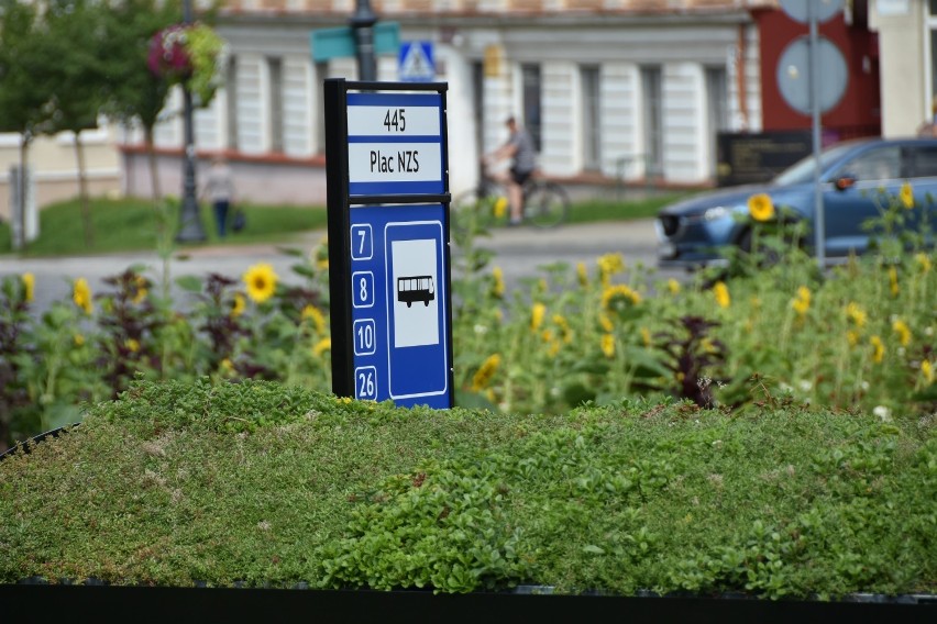 Gdzie chcesz trzeci zielony przystanek w Białymstoku? Możesz zdecydować